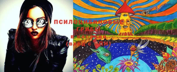 дмт Михайловск