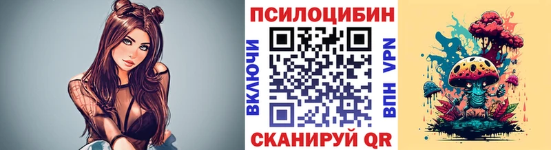 мега сайт  Энгельс  Псилоцибиновые грибы Psilocybe 